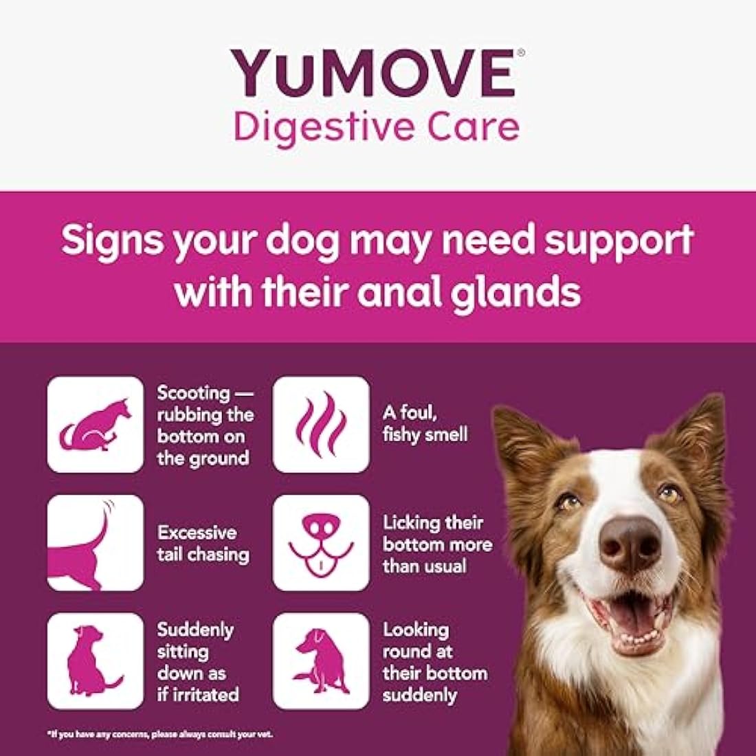 YuMOVE Digestive Care & Fibre Dog Probiotic Supplement for Gut Health – 180g