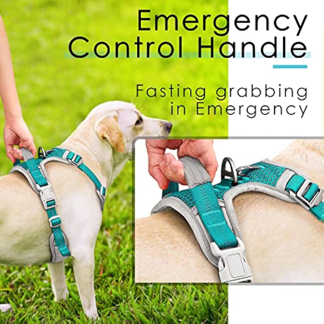 Jolof Store No Pull Dog Harness – Reflective Breathable Sport Vest