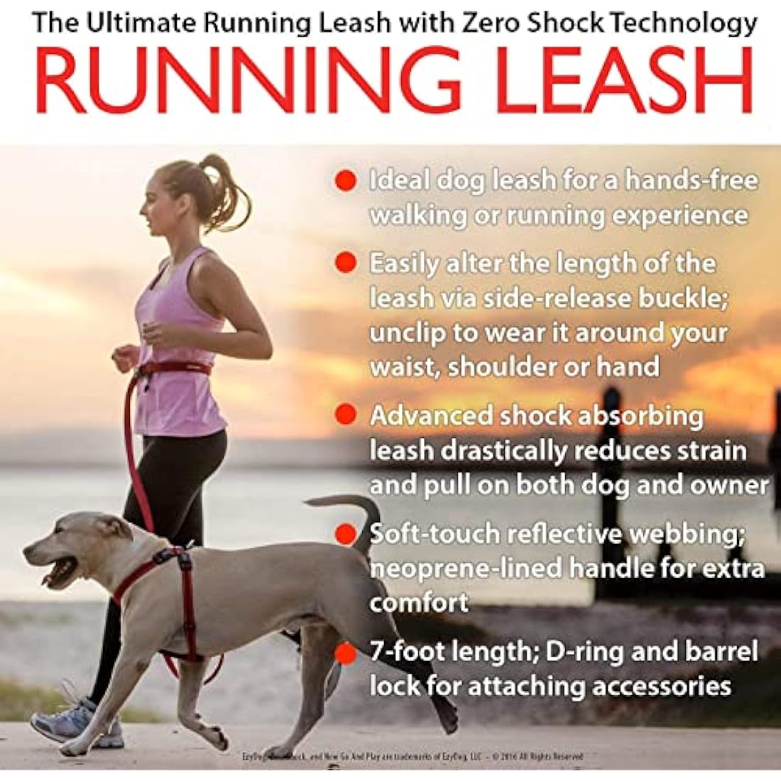 EZYDOG Road Runner Hands-Free Dog Leash – Grey Shock-Absorbing Lead
