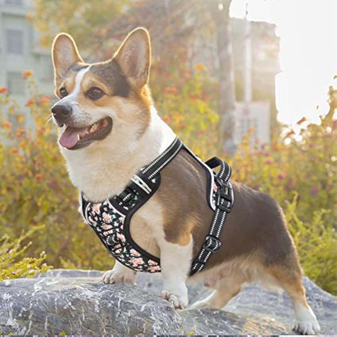 HEELE No Pull Dog Harness | Reflective Padded Vest with Neck Clip