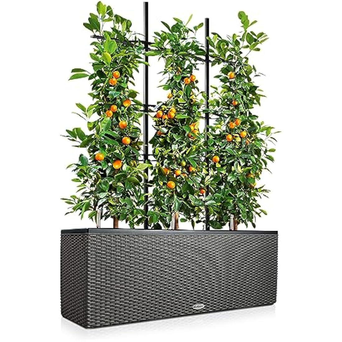 Lechuza TRIO Cottage 30 Self-Watering Planter | Rattan Look - Granite