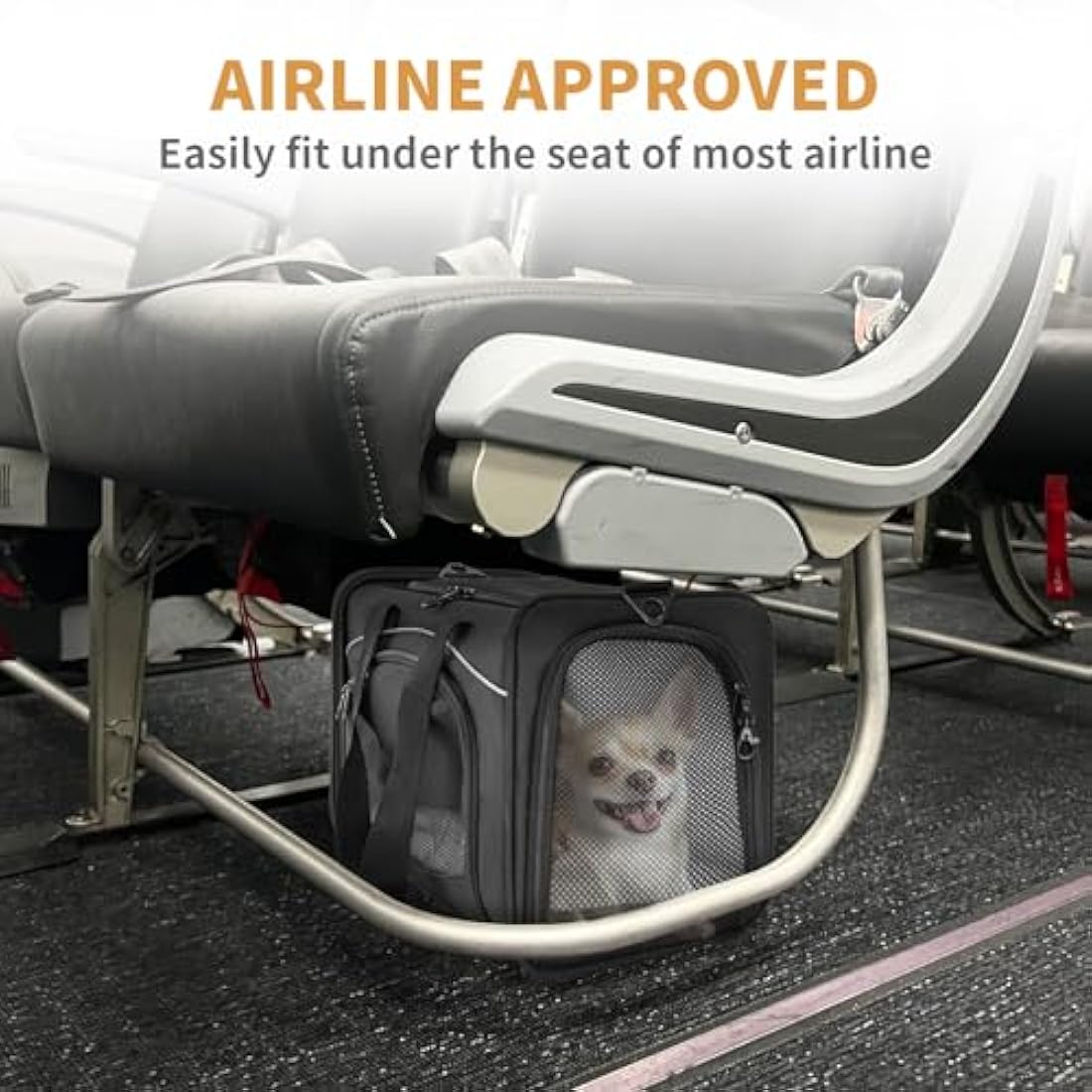Petsfit Airline Approved Cat Carrier – Foldable Soft-Sided Pet Bag, Black