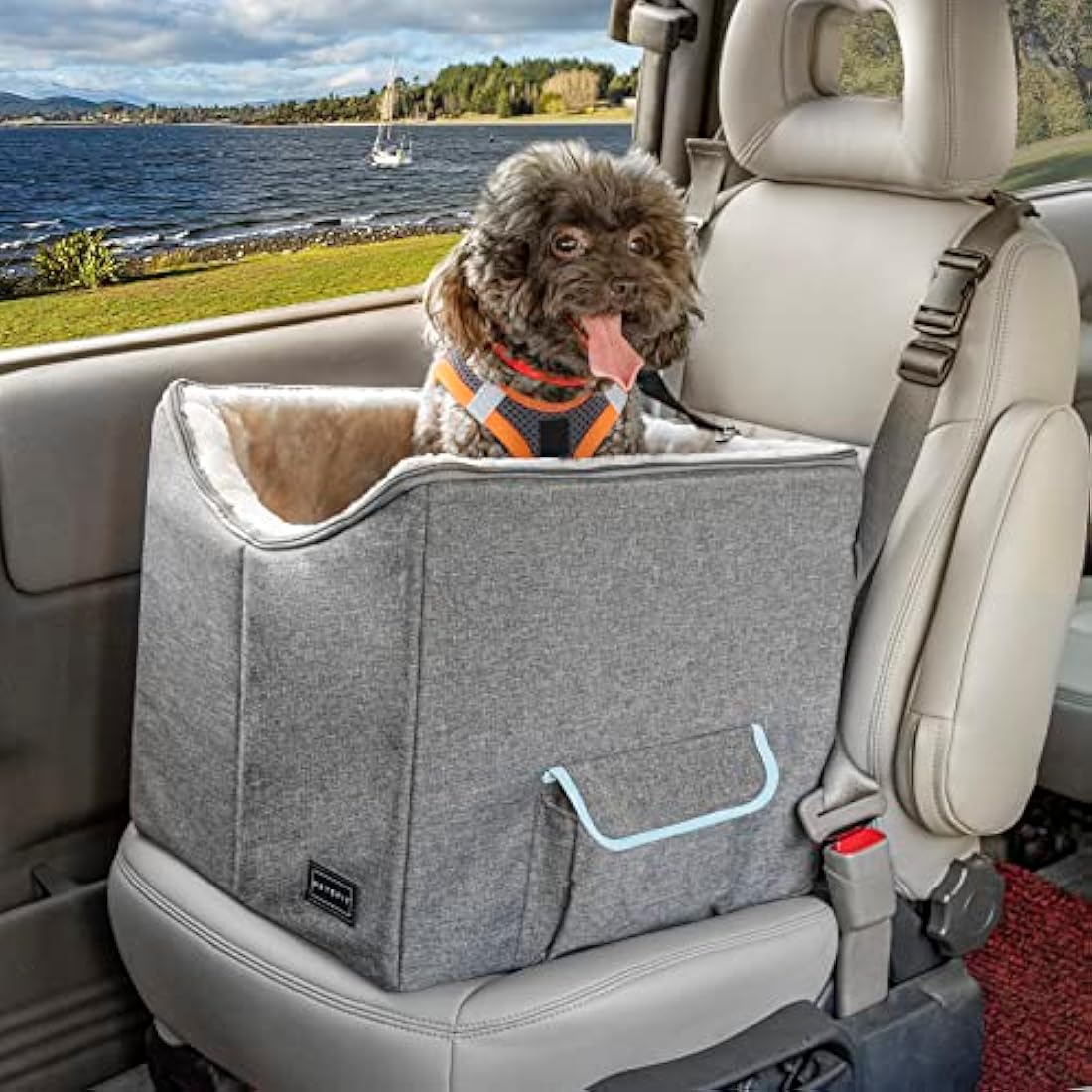 Petsfit Small Dog Booster Car Seat | Washable Portable Pet Travel Seat