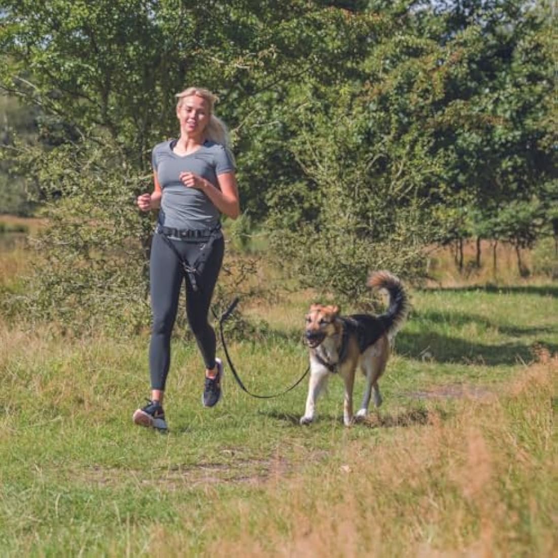 Trixie Hands-Free Jogging Dog Leash with Waist Belt & Shock Absorber