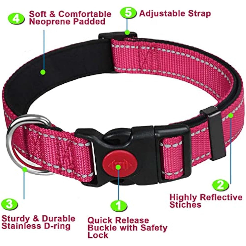 Jolof Store Reflective Padded Dog Collar – Durable Nylon, Hot Pink