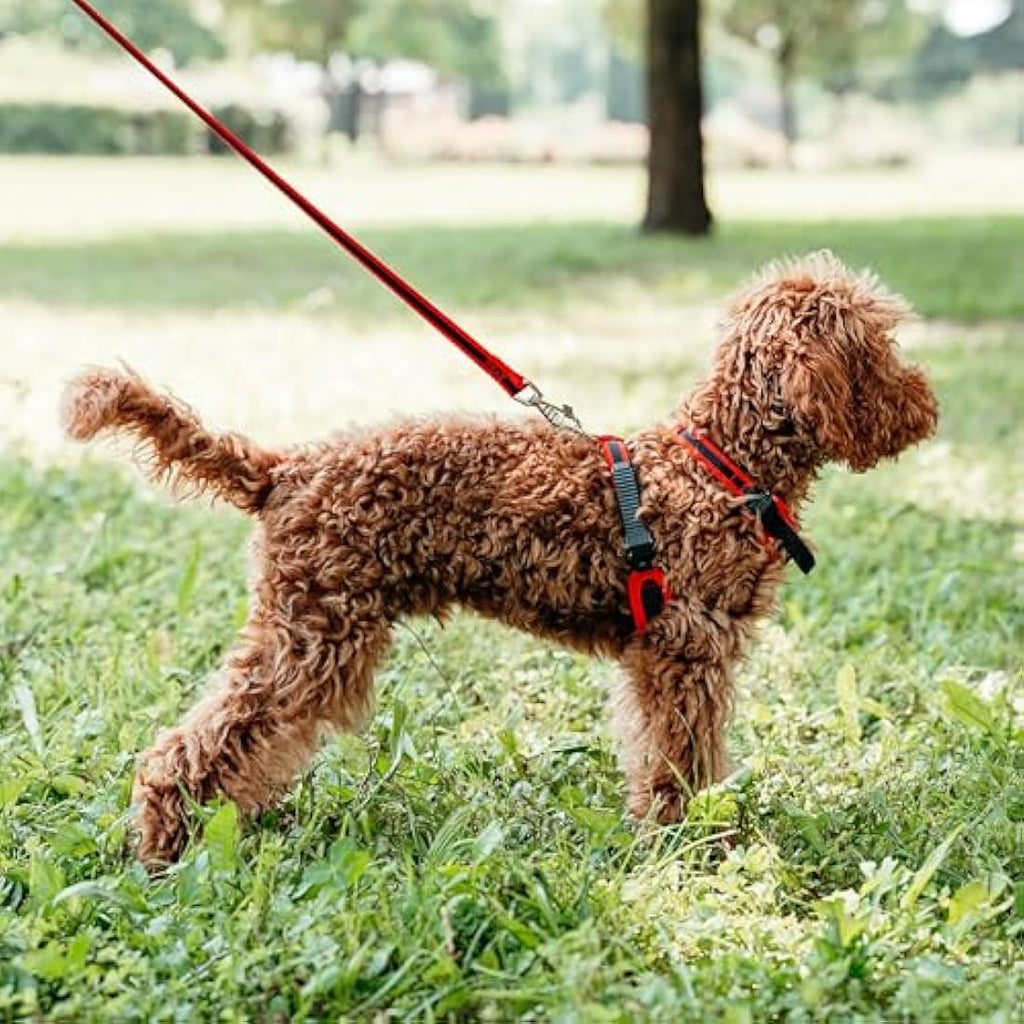 Ferplast Ergocomfort Small Dog Harness | Padded Nylon - Red