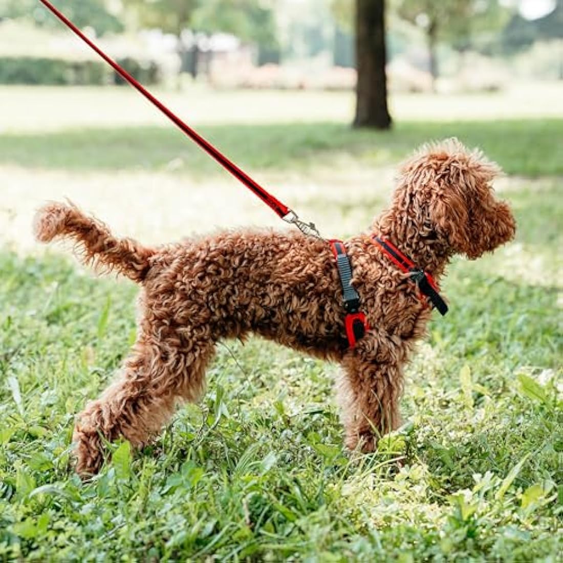 Ferplast Ergocomfort Small Dog Harness | Padded Nylon - Red