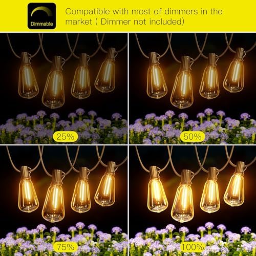 Torkase 60FT LED Garden String Lights | IP54 Waterproof ST38 Festoon Lights