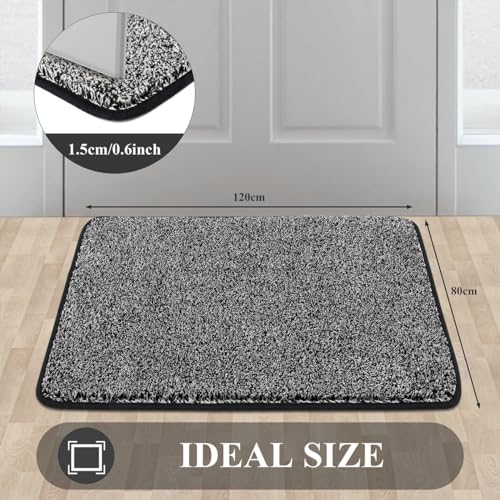 Pauwer Indoor Doormat – Non-Slip Absorbent Dirt Trapper Rug, Black, 80x120cm