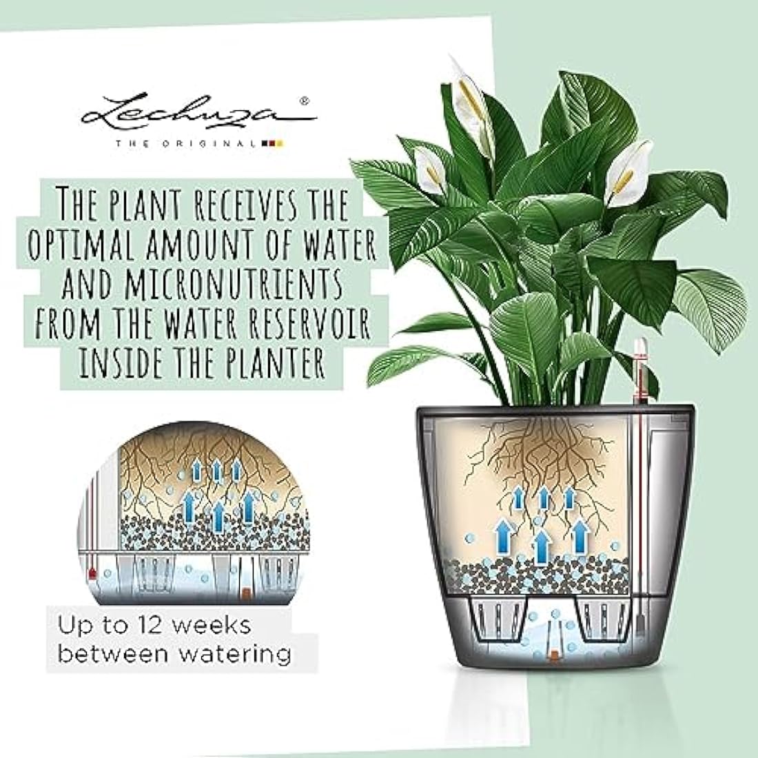Lechuza Classico 50 LS Self-Watering Planter - White High-Gloss Plastic