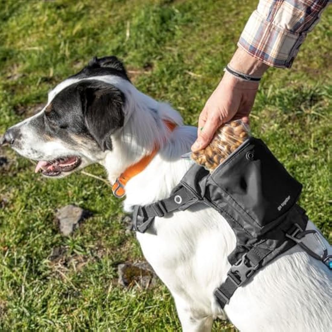 Kurgo Stash n’ Dash Dog Harness | Lightweight Reflective Vest - Medium