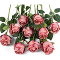 10pcs Artificial Silk Roses - 20" Long Stem Wedding Decor