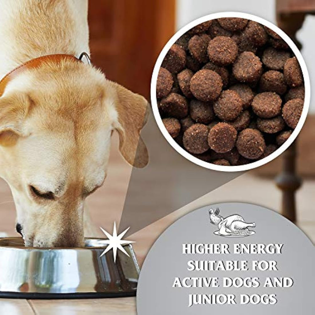 Dr. John Titanium Chicken Dry Dog Food – Active Adult & Junior 15kg