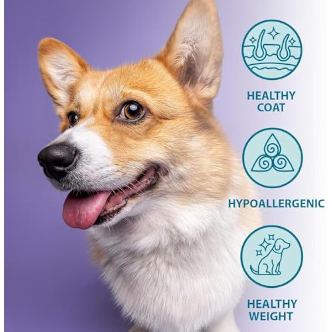 Burns Pet Nutrition Grain-Free Duck & Potato Adult Dog Food - 12kg