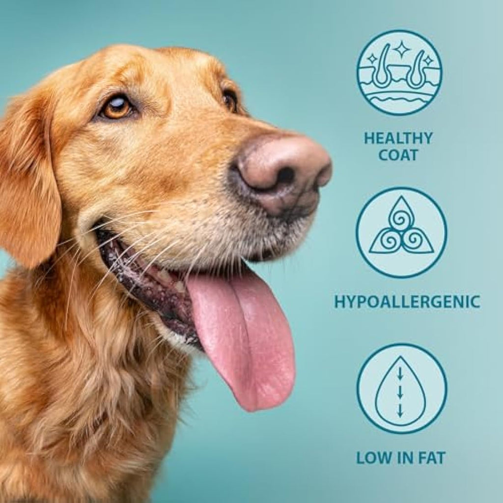 Burns Hypoallergenic Lamb & Brown Rice Dry Dog Food - Adult/Senior 6kg