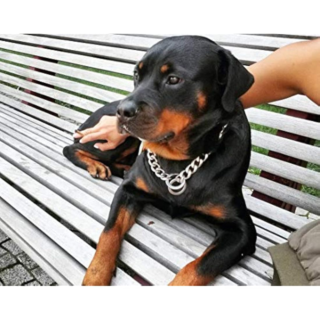 Jolof Store 20mm Cuban Link Dog Collar – 316L Stainless Steel, 28 Inch