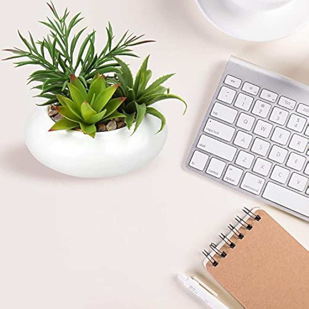 Briful Artificial Succulent Plants in White Ceramic Pot | Faux Desk Decor