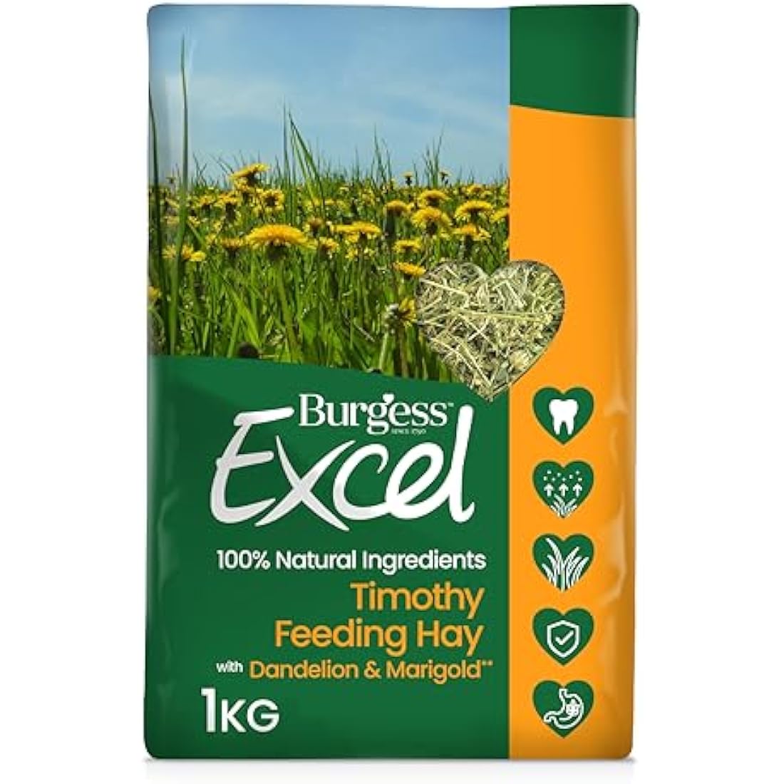 Burgess Excel Dandelion & Marigold Timothy Feeding Hay for Small Animals, 1kg