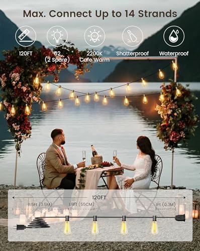 Torkase 120FT Outdoor Festoon Lights | 60 Shatterproof LED Edison Bulbs