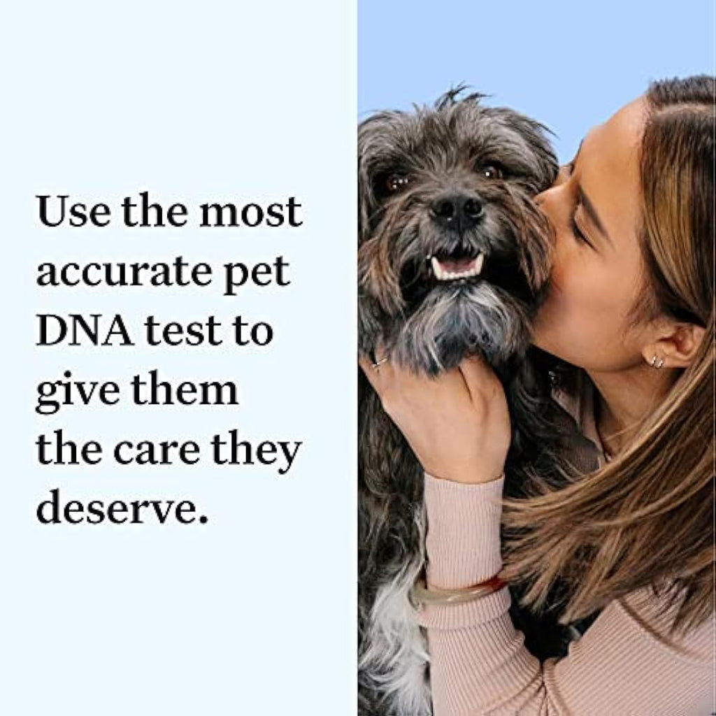 Wisdom Panel Essential Dog DNA Test Kit – Breed ID & Health Screening