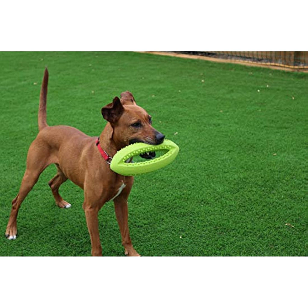 Grubber Rugby Ball Dog Toy – Durable Interactive Fetch Toy