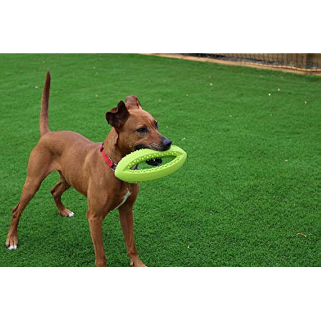 Grubber Rugby Ball Dog Toy – Durable Interactive Fetch Toy