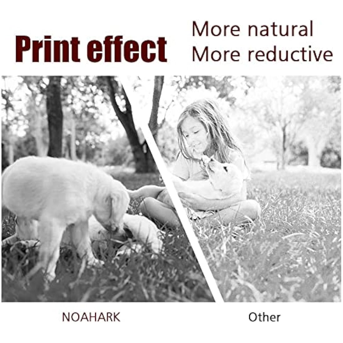NoahArk TL-410X High-Yield Black Toner Cartridge for Pantum Printers, 2-Pack