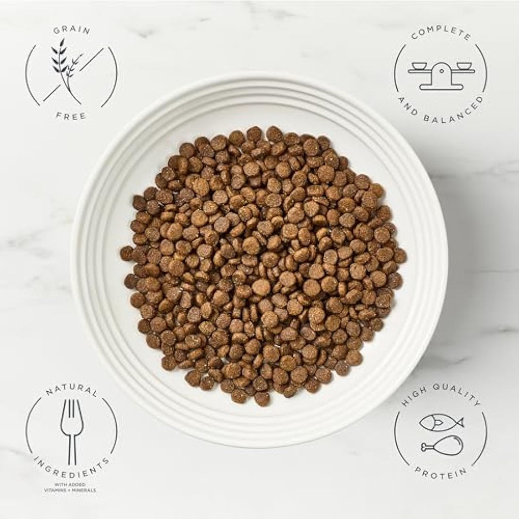 Encore Grain Free Dry Cat Food – High Protein Chicken for Adults 2.4kg