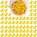 100PCS Mini Resin Ducks - Tiny Realistic Fairy Garden Figurines