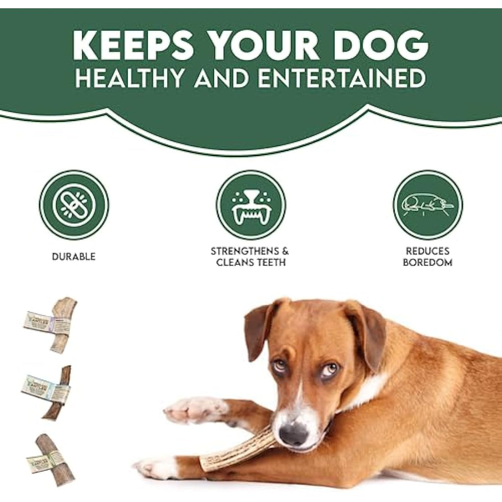 Jolof Store Natural Split Antler Dog Chew – Hypoallergenic (Small)