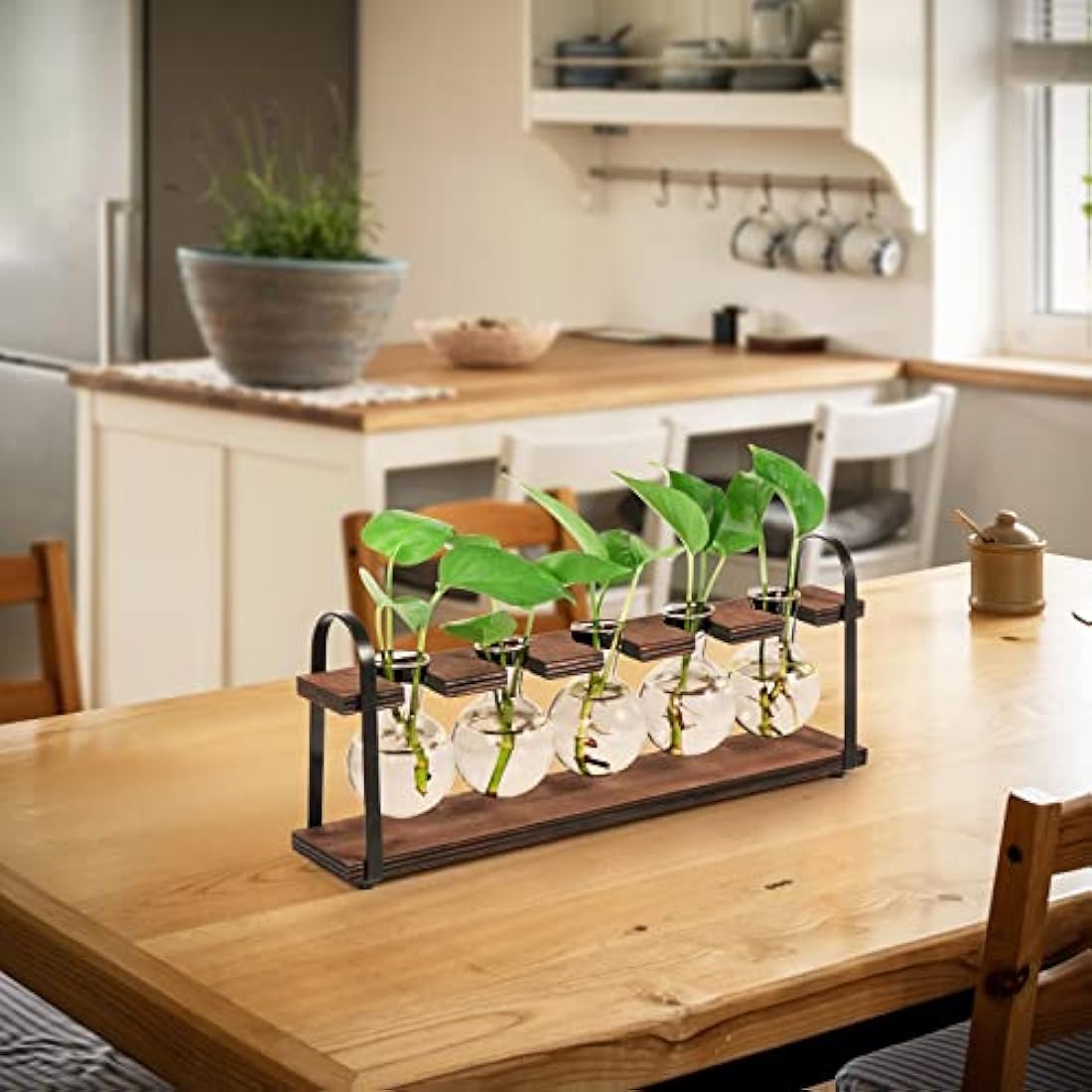 Jolof Store Retro Plant Propagation Station | Glass Bulb Vase Terrarium
