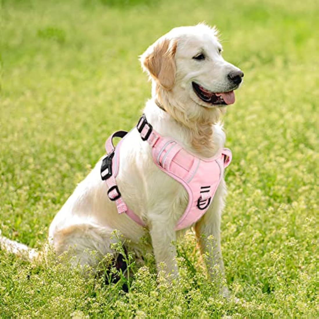 HEELE No Pull Dog Harness | Reflective Padded Pet Vest - Light Pink, XL