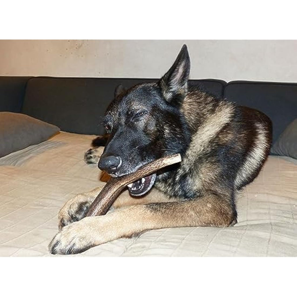 Artisan Gift Co Natural Deer Antler Dog Chews – Large 2-Pack (300g)
