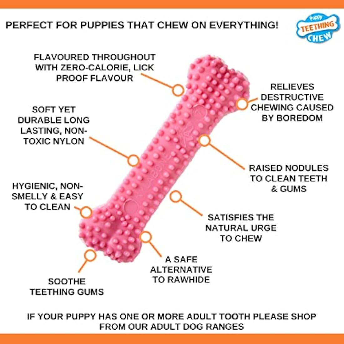 Nylabone Puppy Teething Dental Chew Toy – Chicken Flavor, Pink, XS