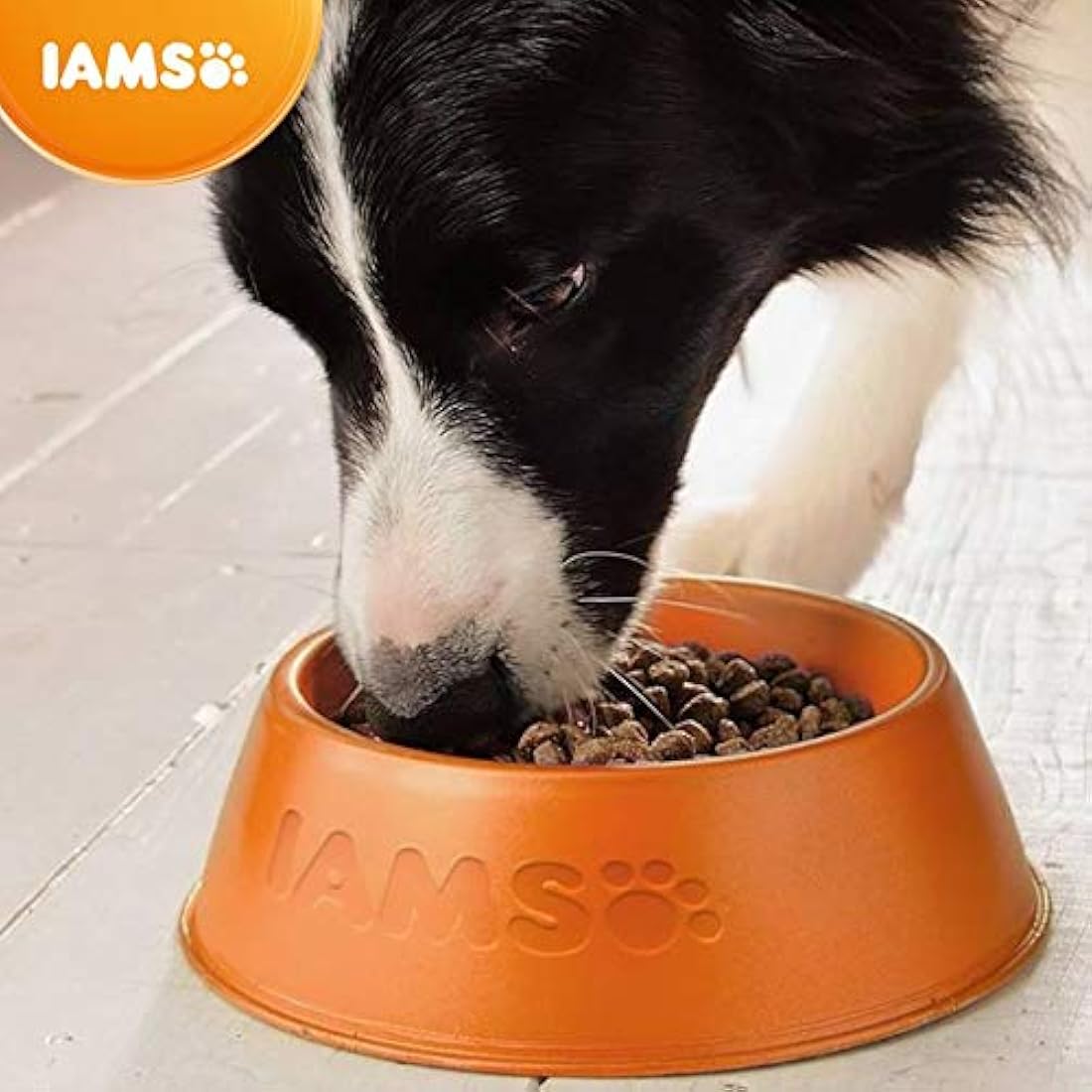 Iams Vitality Senior Dry Dog Food - Fresh Chicken for Small Breeds, 2kg