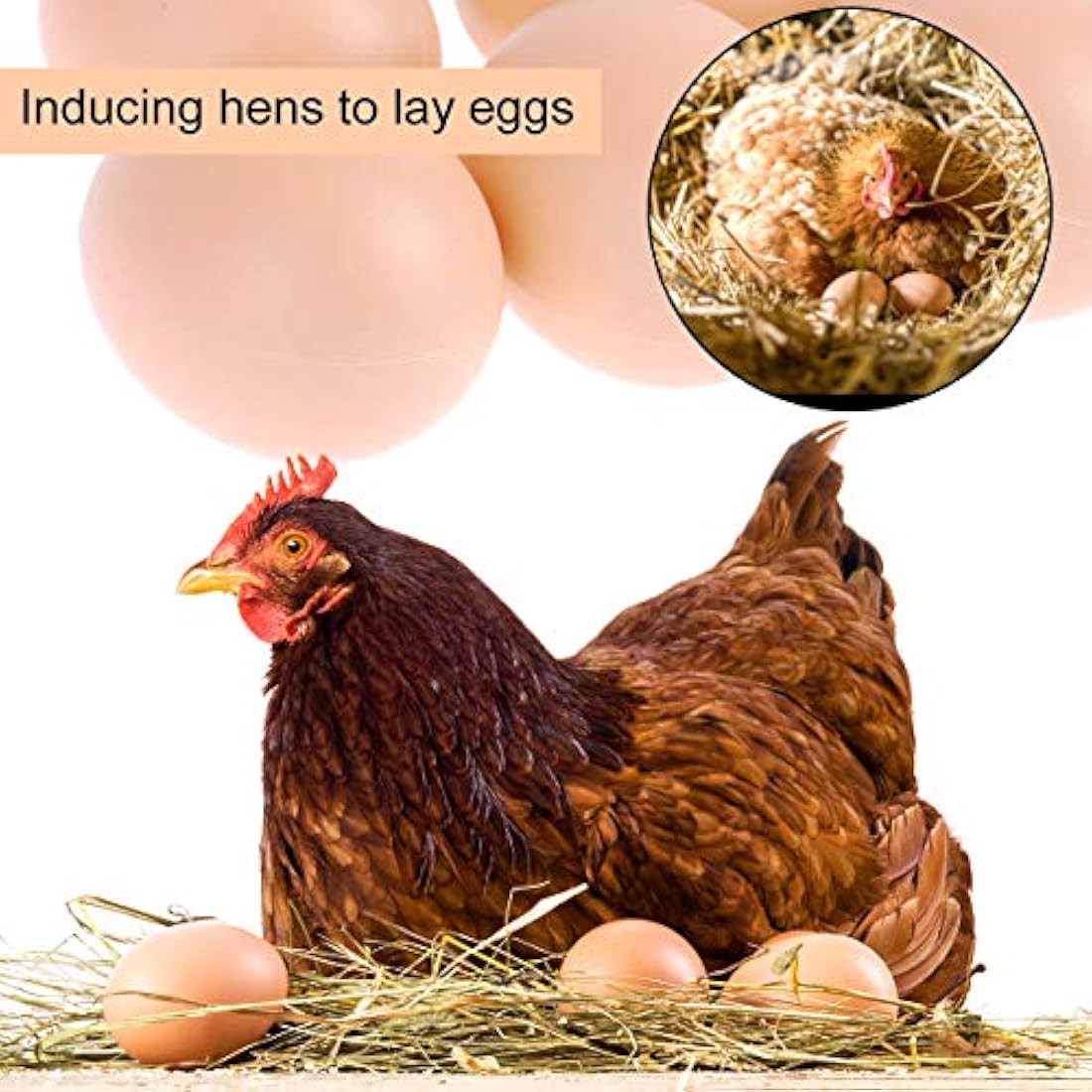 Jolof Store 20Pcs Artificial Chicken Eggs – Realistic Brown Nesting Eggs