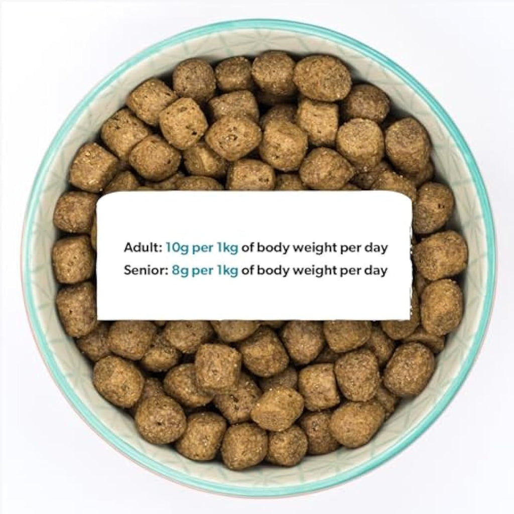 Burns Pet Nutrition Grain-Free Turkey & Potato Dog Food - 12kg