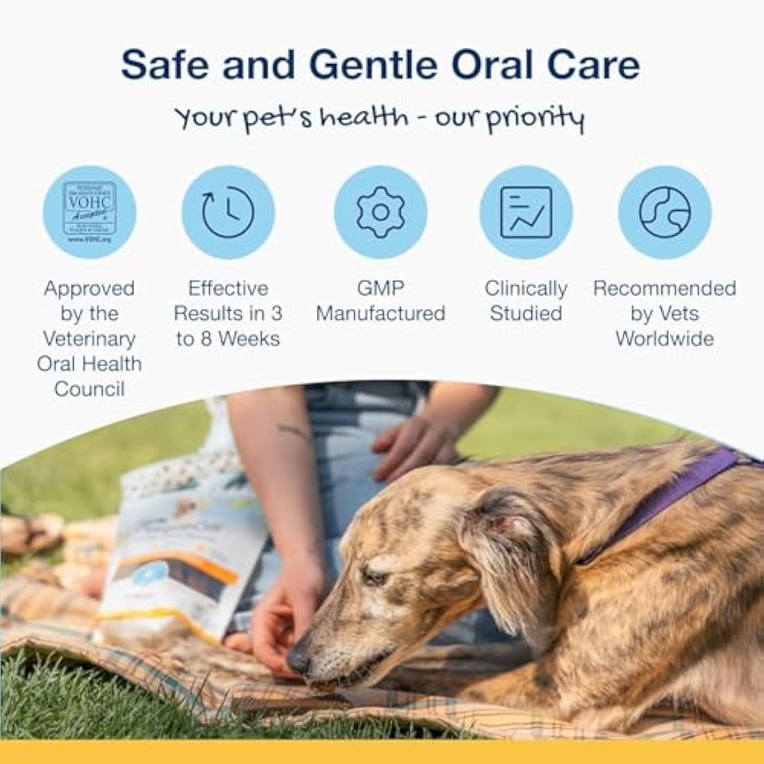 ProDen PlaqueOff Dental Bones for Small Dogs - Vegetable & Blueberry