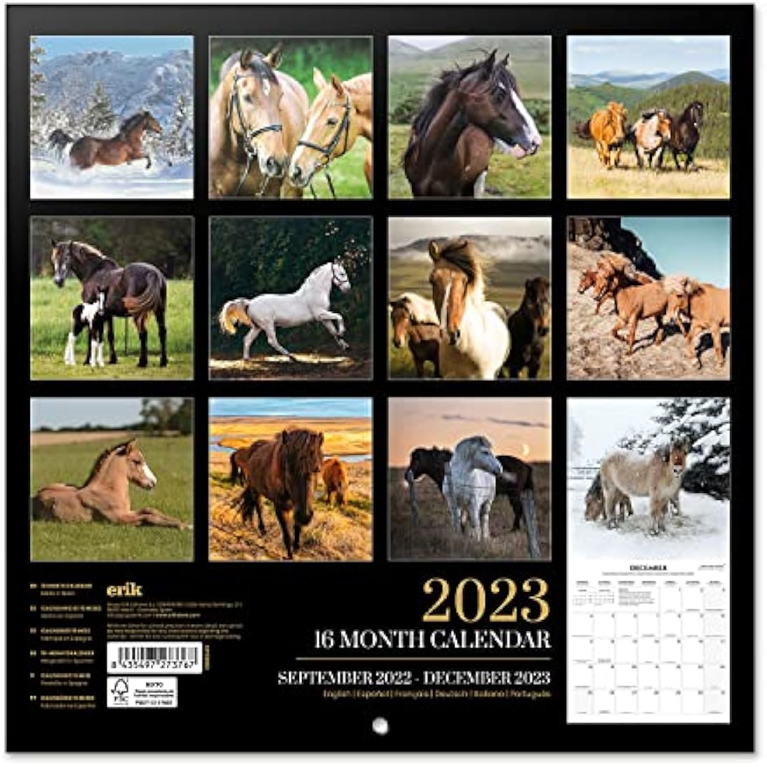 Grupo Erik Horse Wall Calendar 2023 | 12-Month Family Planner | 12x12