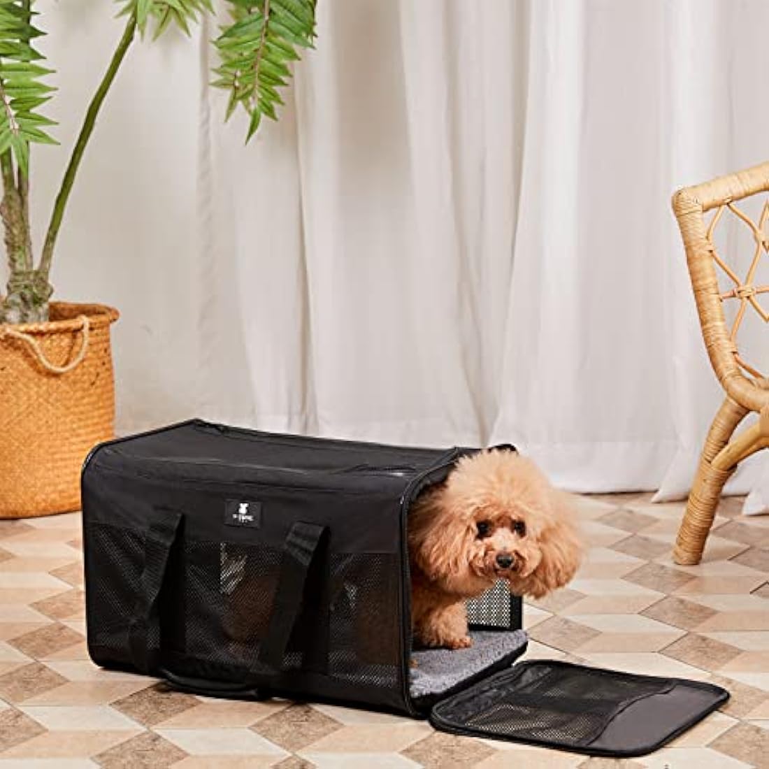 X-ZONE PET Airline Approved Soft-Sided Pet Travel Carrier | Large Black
