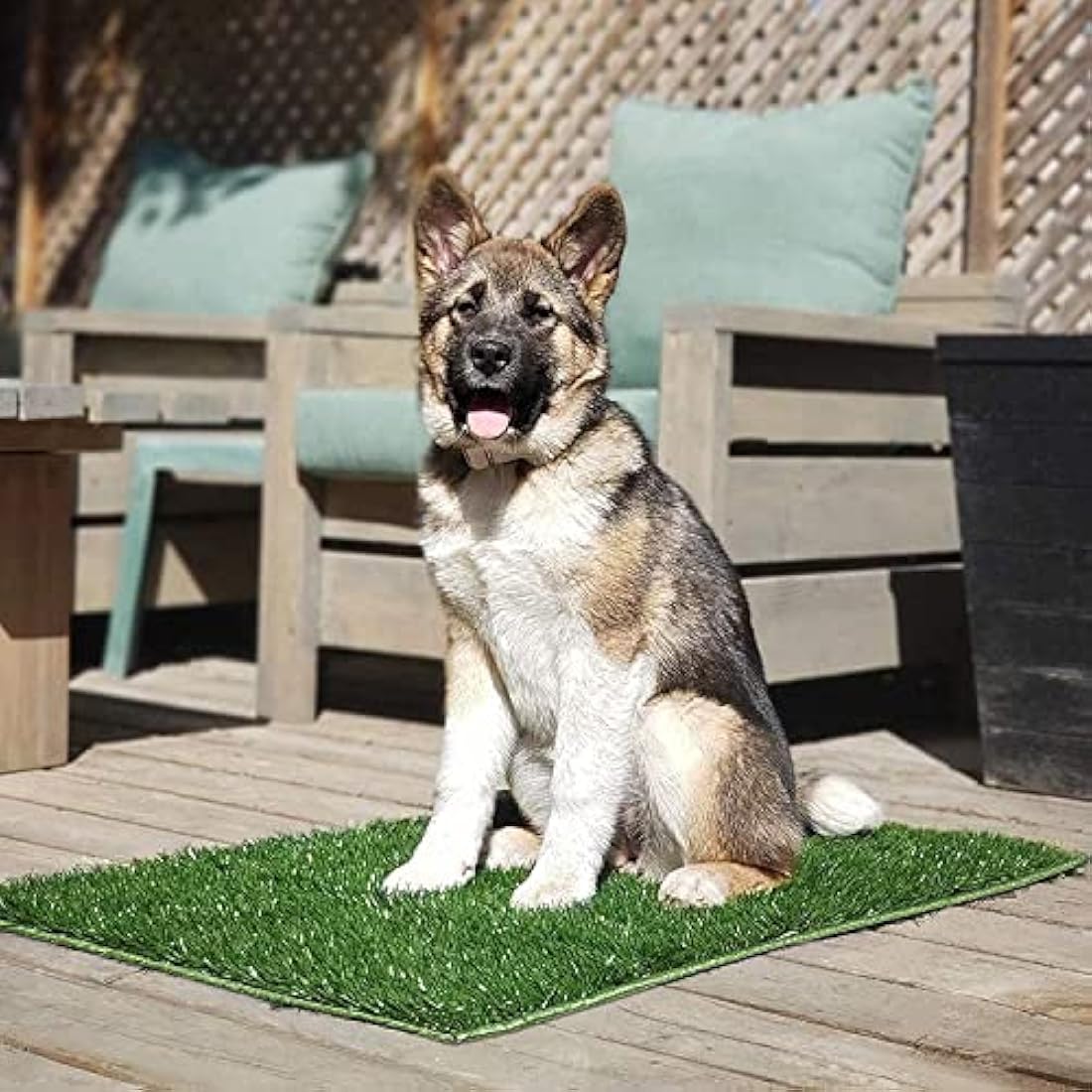Hompet Dog Grass Pee Pads – 28x18 Artificial Turf Potty Mats, 2-Pack