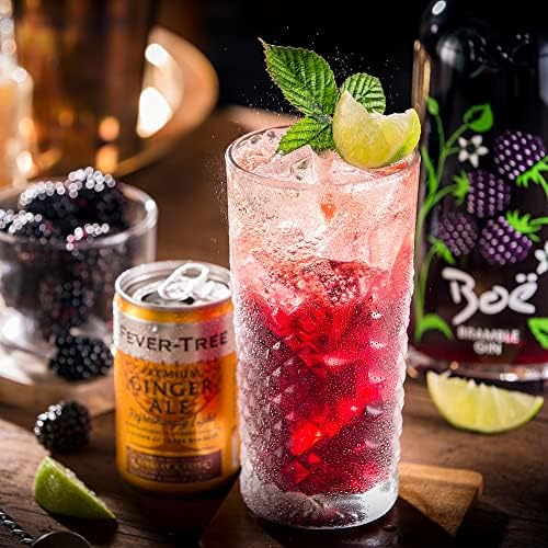 Boë Bramble Flavoured Scottish Gin – Premium Berry Gin, 70cl, 41.5% ABV