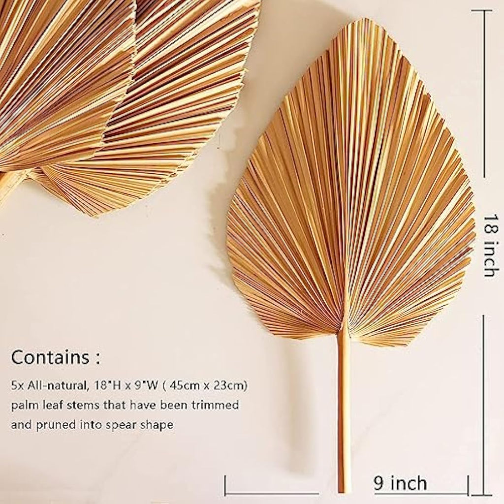 Jolof Store Natural Dried Palm Leaves – 5Pcs Large Boho Wedding Decor