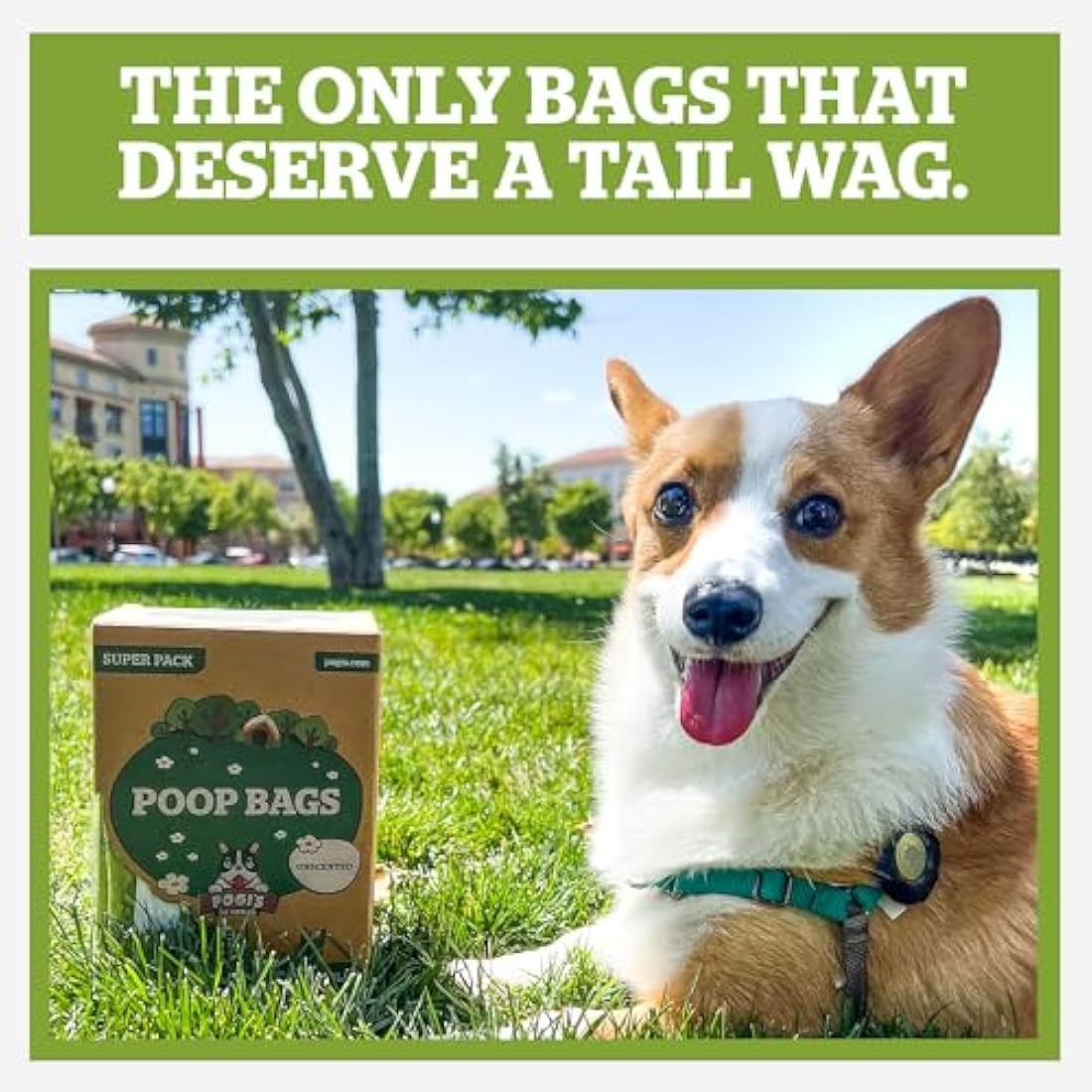 Pogi’s Dog Poo Bags with Handles – Extra Thick Unscented, 900-Count