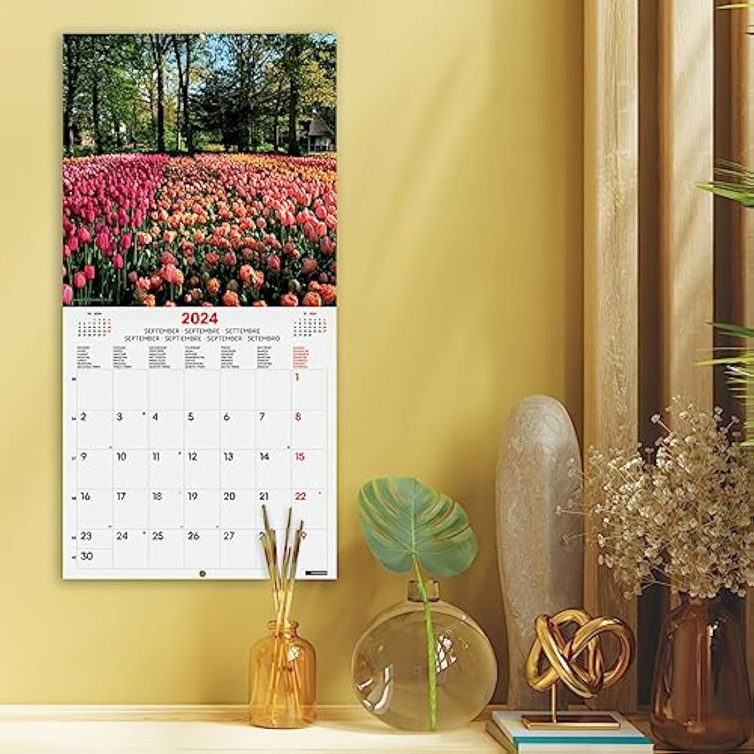 Finocam 2024 Parks International Wall Photo Calendar – 12 Month Planner
