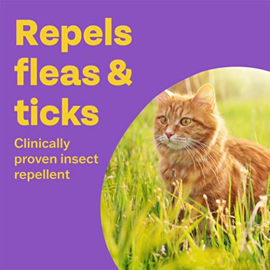 Bob Martin Clear Flea and Tick Repellent for Cats - 6 Pipettes