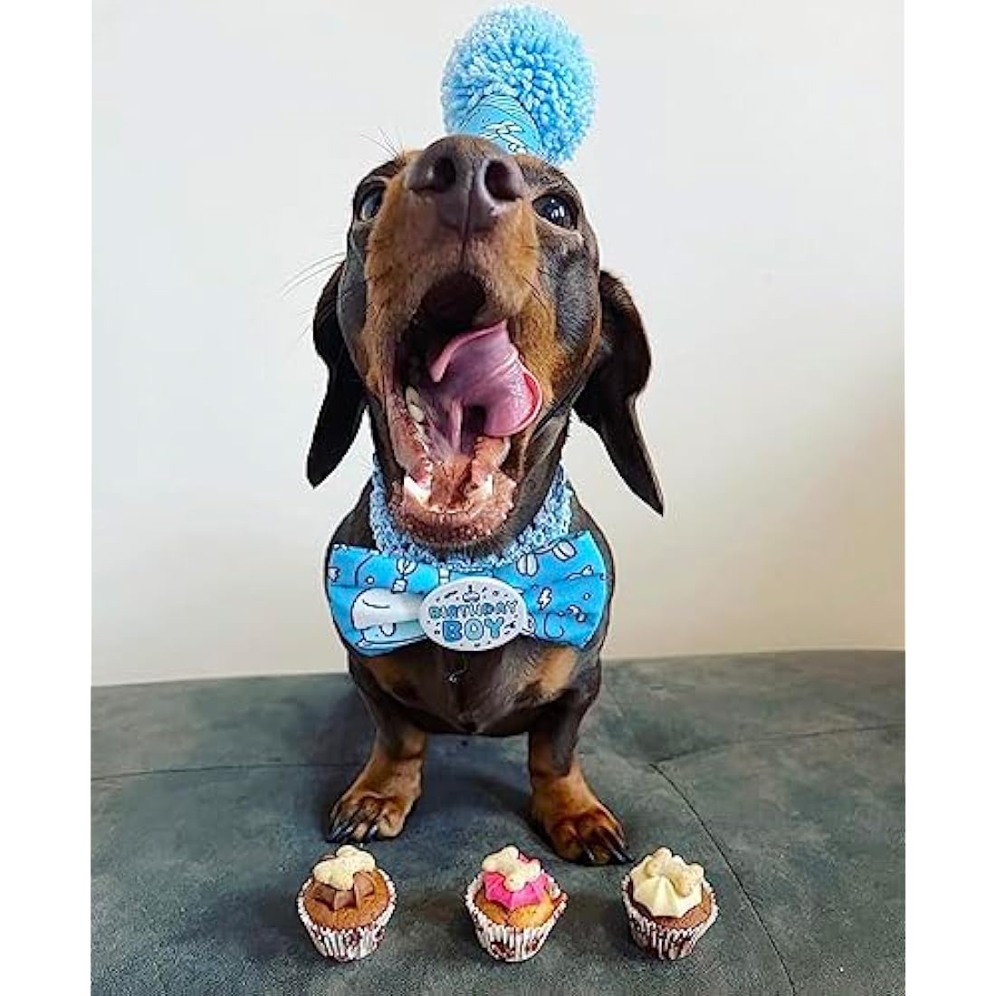 The Barking Bakery Trio of Mini Iced Woofins – Gourmet Dog Cupcakes