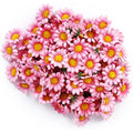 Jolof Store 100pcs Artificial Silk Gerbera Daisy Flower Heads - Dark Pink