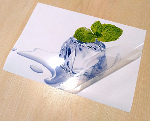 Evergreen Goods A4 Waterproof Translucent Glossy Vinyl - 100 Sheets
