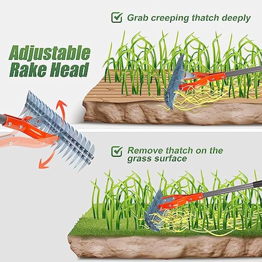 Walensee Thatch Rake | 15-Inch Steel Lawn Dethatcher with Adjustable Handle